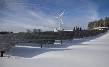 The Rise of Renewable Energy